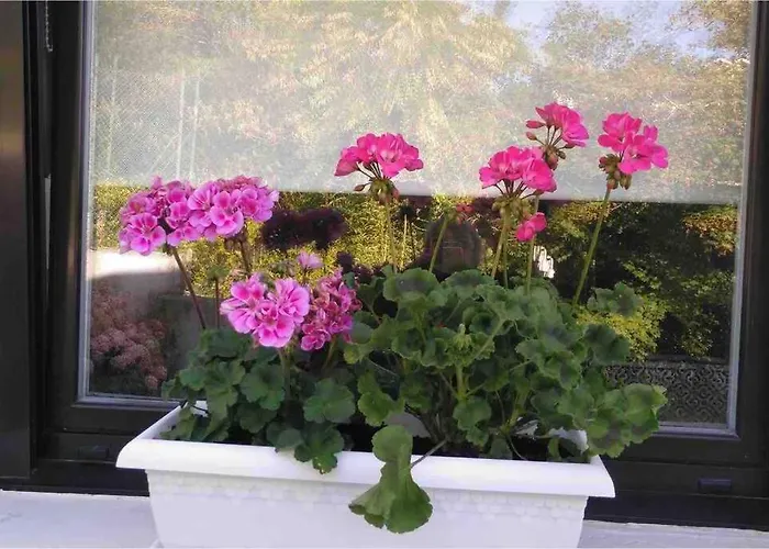 Doma Etxea Donostia-san Sebastian Ess02683 *