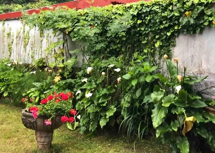 Doma Etxea Donostia-san Sebastian Ess02683